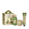 Kit di Scoperta Olive Bliss
