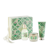 Rituale Corpo Scatola M