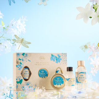 Kit di Scoperta Minty Spark Yuzu