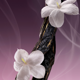 Eau de Parfum - Incense of Stars - 30ml